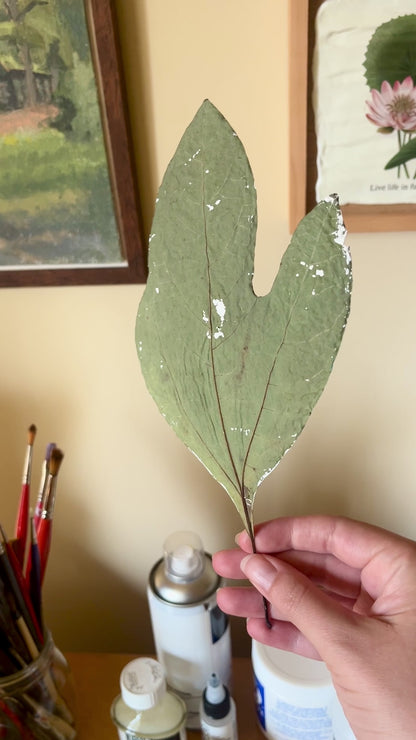 "Apple Picking" Fine Art Print