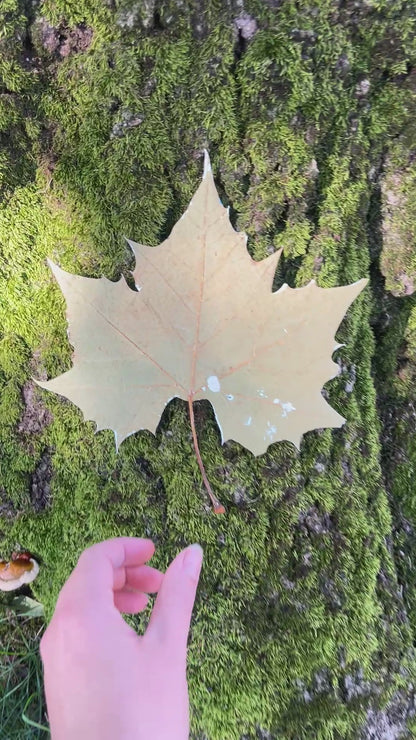 "The Night Journey" Original Painting