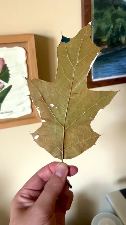 "Tea Beneath the Stars" Original Painting