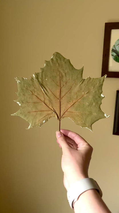 Winter Woodland Animal Art Print - The Snowman Builders