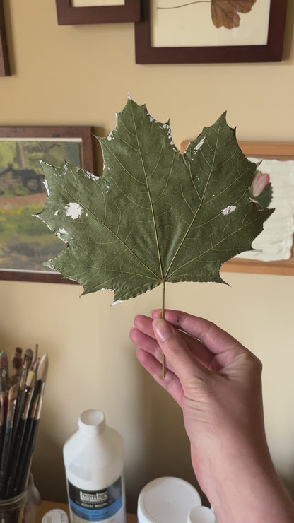 Cozy Autumn Squirrel Art Print - The Nut Gatherer